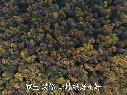 裝修的墻面可以貼墻紙嗎,裝修墻面用什么好...